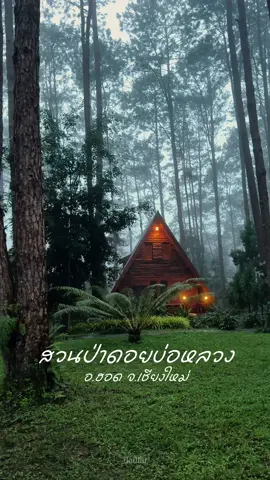 ตื่นเช้ามาเจอกับสิ่งนี้ ได้แต่พูดว่า สวยมากกก !! ✨🍃 บรรยากาศยามเช้าของป่าสน ”สวนป่าดอยบ่อหลวง“ 👍  📍สวนป่าดอยบ่อหลวง อ.ฮอด จ.เชียงใหม่  #สวนป่าดอยบ่อหลวง #เชียงใหม่ #เที่ยวเชียงใหม่ #ที่พักเชียงใหม่ #ปอปี้ยิ้ม #ยืมลงสตอรี่ได้ 