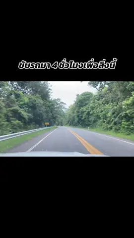 ขับรถมาเพื่อสิ่งนี้ #ขับรถ #ธรรมชาติบําบัด 