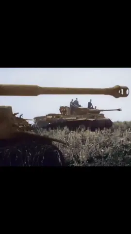 ⚠️fake guns⚠️ Battle of Kursk is the largest tank Battle in history ⚠️fake situation⚠️ #Battleofkursk #History #USSR #Easternfront #Kursk #Tankbattle #war #worldwar2 #Germany #tanks #⚠️fakeguns⚠️ #⚠️fakesituation⚠️ 