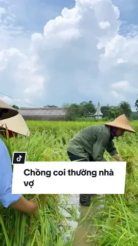 Phần 28 | Chồng coi thường nhà vợ...#maikhan #phanlamdau #cuocsonggiadinh #xuhuong2024 