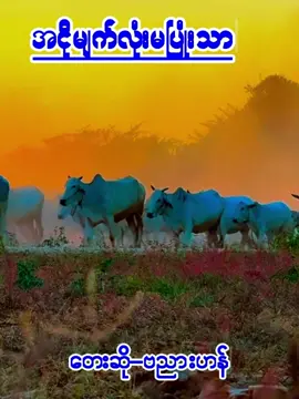 #အငိုမျက်လုံးမပြုံးသာ  #foyou#music #ဗညားဟန်  #တေွးပြီးမှတင်ပါ 