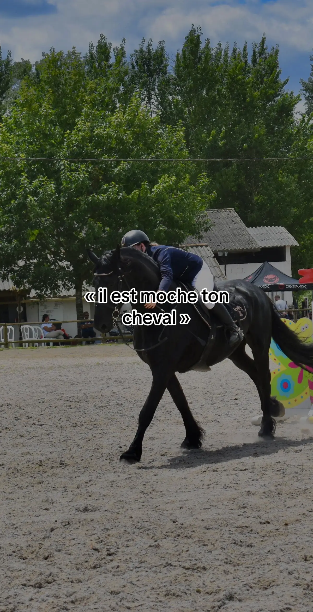 je suis pas objective mais punaise qu’il est beau garçon 😩 #fyp #friesian #horse #stallion #equestrian 