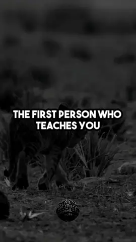 The first person teaches the best lessons... #quotes #quote #teacherlife #lifelessons #lovelessons #fyp #foryou #goviral @TikTok 