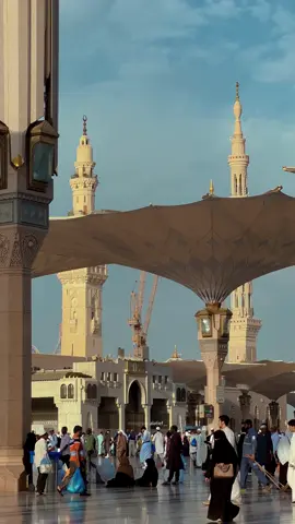 ولد الهدى فالكائنات ضياء🤍