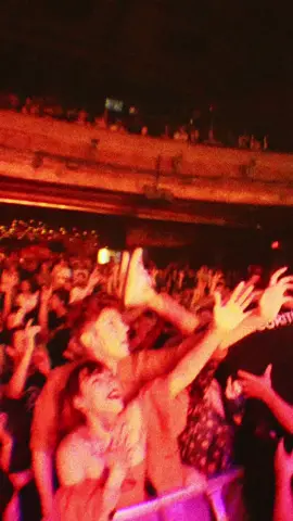 Daylily last night in Montreal