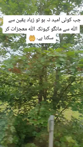 beshak 🤲