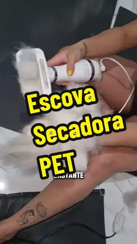 LINK NA BIO 👈🏼 Adeus pet shop! Seca e escova em casa por menos de R$ 60 reais! ❤️‍🔥✨️   #siberianhusky #huskylifestyle #huskylife #huskysiberiano #huskysiberianobrasil #huskylove #maedepet #paidepet #escovasecadorapet #cuidadopet #banhopet #amorpet #caes #shopee #shopeebrasil 