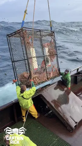 Shout out to the #beringseajesus @nautical_nonsense_crabber and Noah.  You guys make my life a lot easier!  #aleutianlady #shelfordfisheries #beringsea #alaska #deadliestcatch #crab #commercialfishing #commercialfisherman #epic 