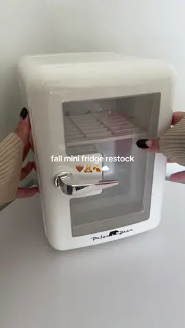 lo ultimo es lo mejor 🤎🍏🍂🧸 #restock #viral #minifridge #minifridgerestock #fall #satisfyingvideo #organize #asmr #asmrsounds #satisfyingsounds #vanilla #hershey 