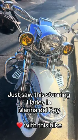 I am in ❤️ with this Harley. Saw this in Marina del Rey.  Omg. ❤️🏍️ - - #harleydavidson  #harleydavidsonlifestyle  #harleydavidsonmotorcycles  @Harley-Davidson lovers  #harleydavidsontiktok #harleydavidsongirl #motorcyclesoftiktok 