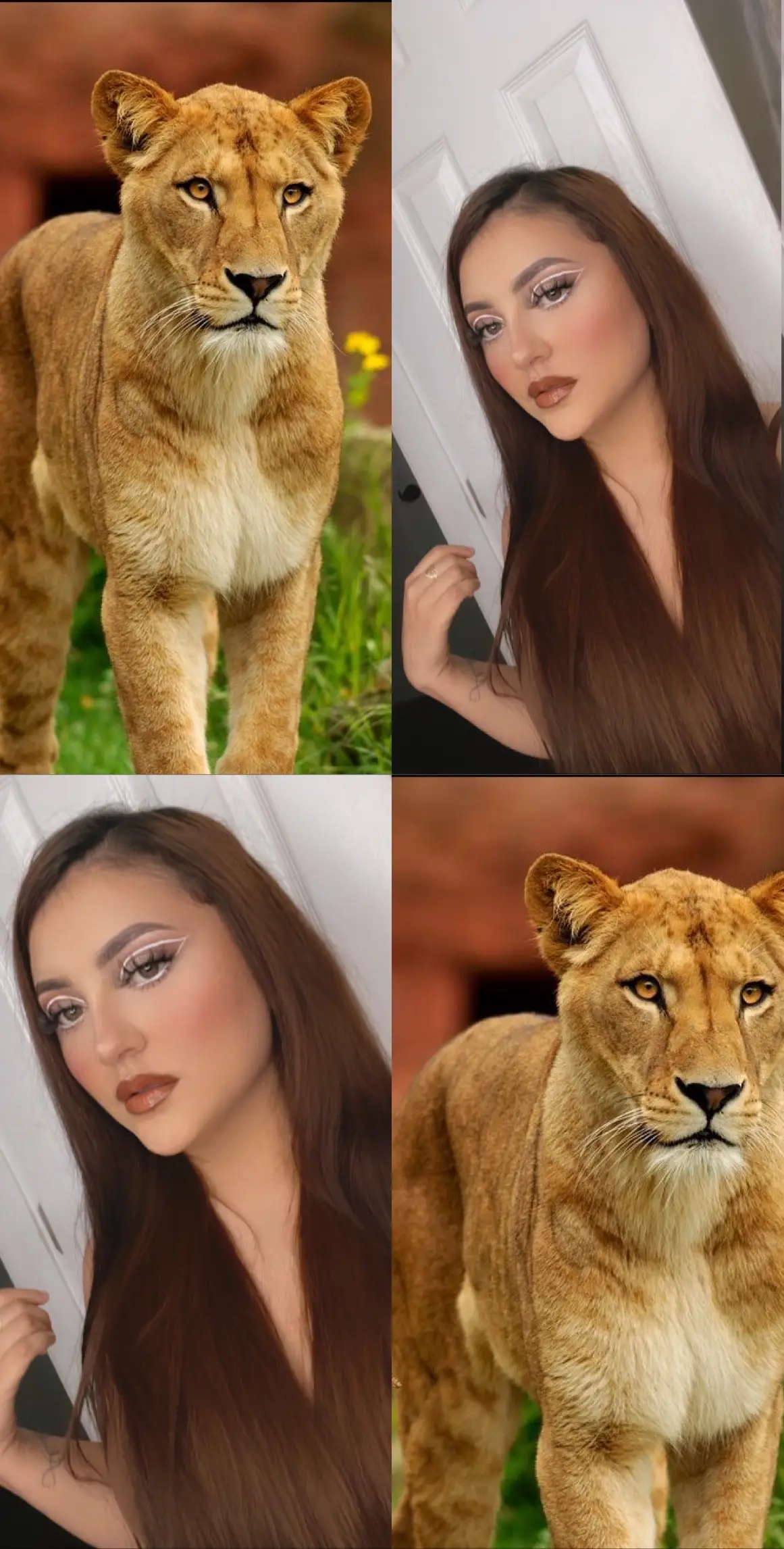 😏❤️‍🔥🦁 @𝒁𝒂𝒓𝒂𝒈𝒐𝒛𝒂 𝑽𝒂𝒏𝒏𝒆  preciosa