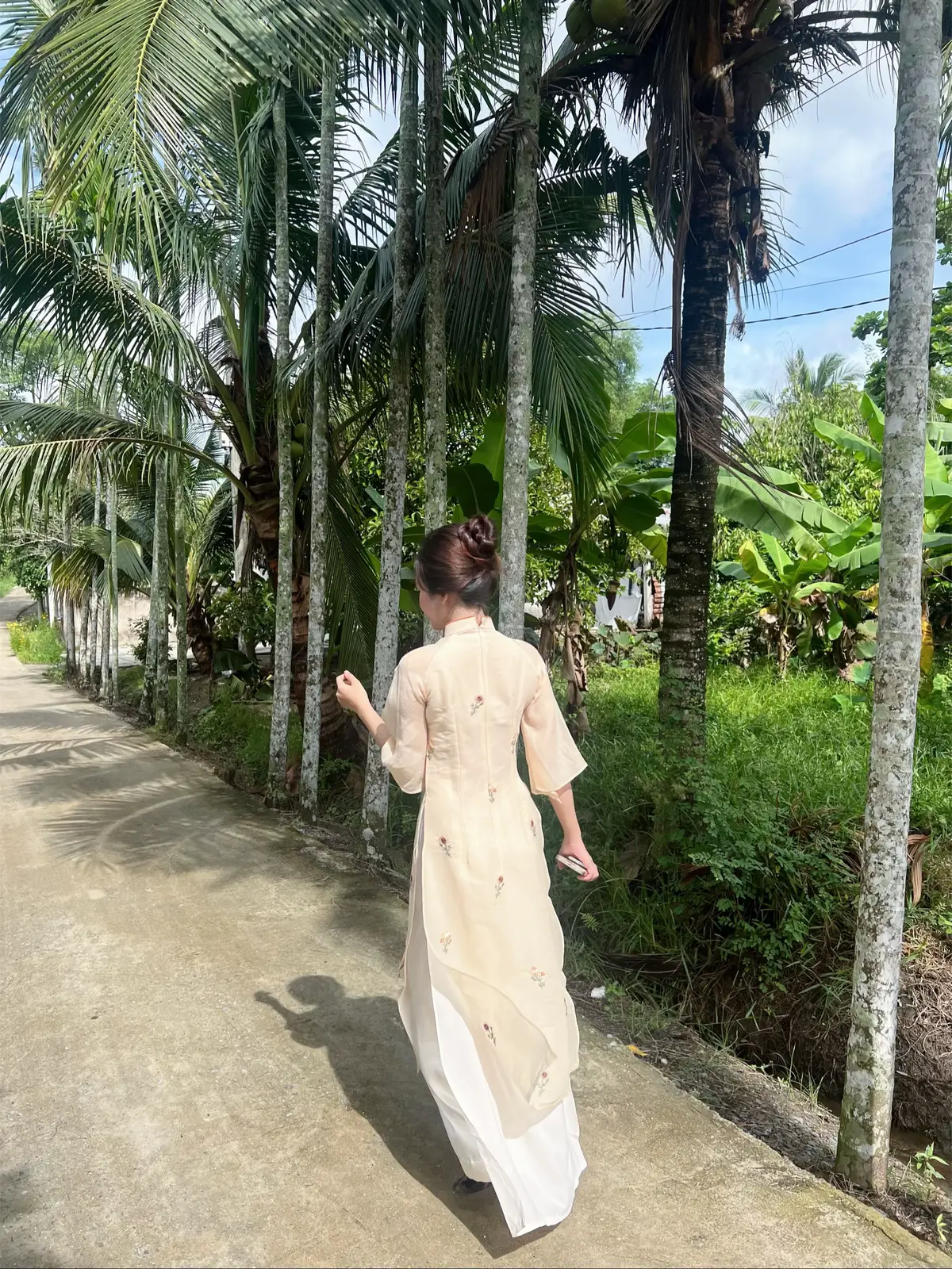 Đám cưới mà không cho quậy thì không đi 🌴#bentre71🌴🥥 