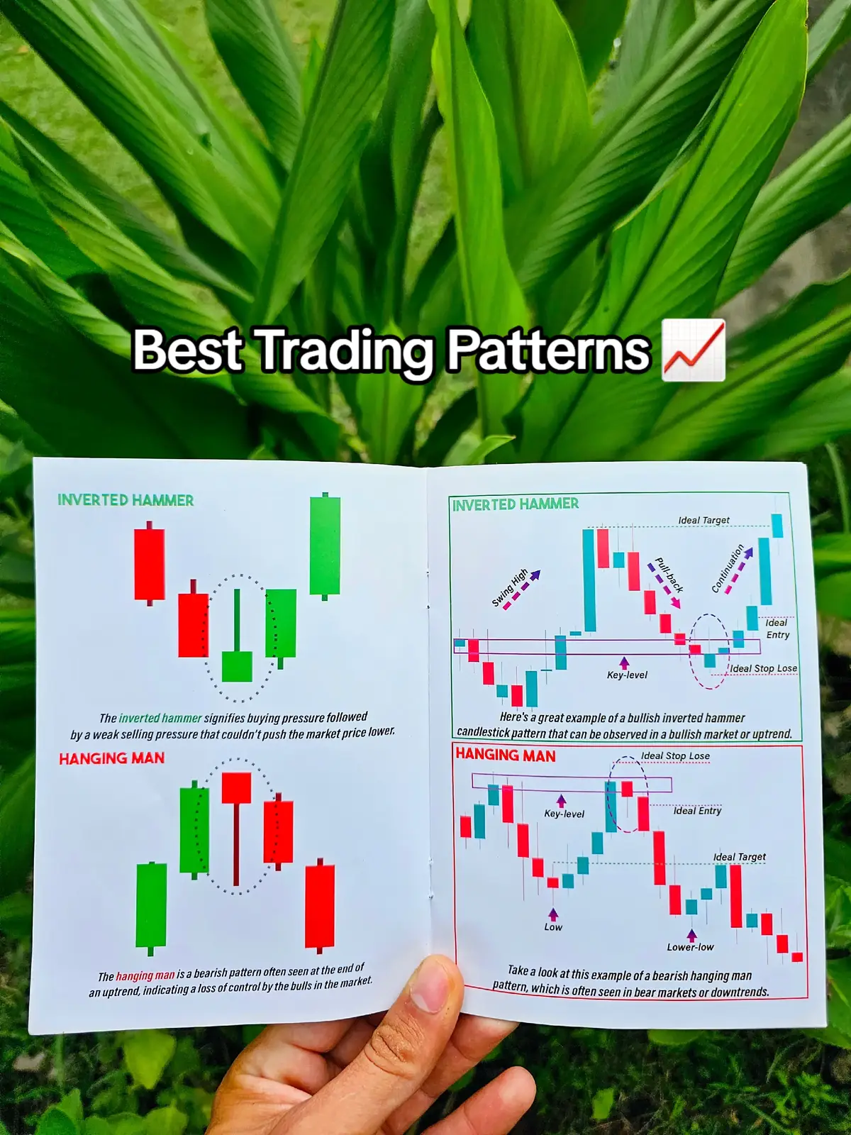 The best trading book guide to master the technical analysis on forex, crypto and stocks that has all the latest trading patterns of chart and candlestick patterns 📚📈 #fyp #trading #forex #tradingbook #book #technicalanalysis #booktok #stocks #daytrader 