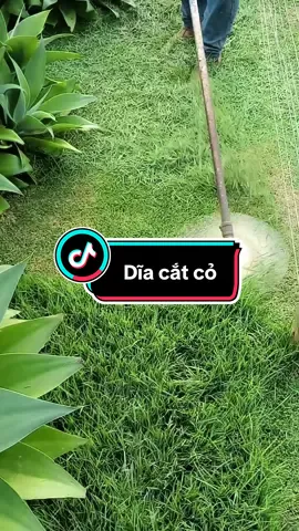 Trả lời @Nam Nguyễn6462 Dĩa cắt cỏ 40r #điệnmáyhồnghơn #xuhuong #cắtcỏ 