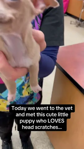 Look at the TAIL WAGS 🤣🤣 #RoadTo20Million #Pubity  (@Beth Todd via Collab)