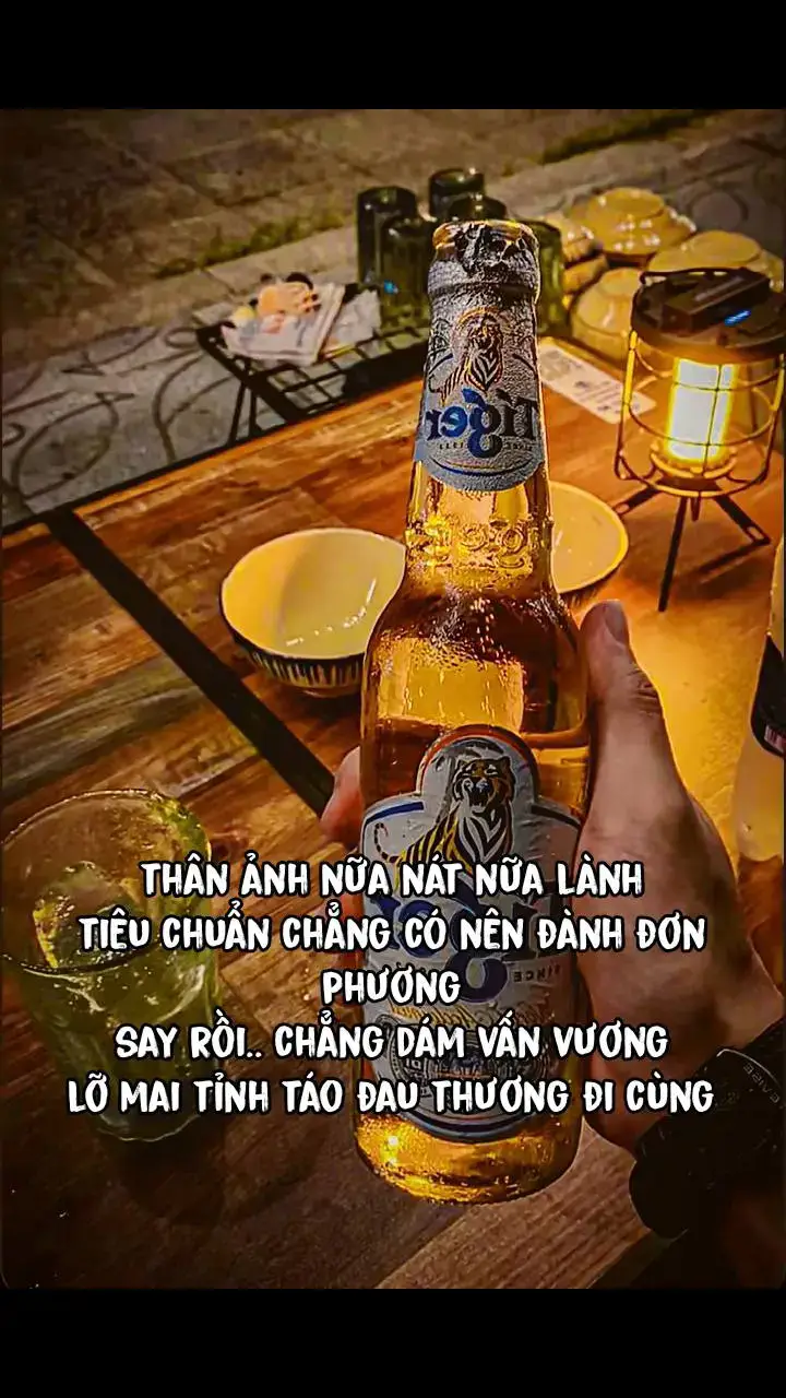 thân ảnh nữa nát nữa lành  tiêu chuẩn chẳng có nên đành đơn phương  say rồi.. chẳng dám vấn vương  lỡ mai tỉnh táo đau thương đi cùng 