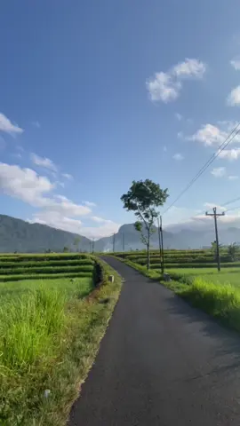 Ora Kabeh Kesel Tambane Liren,Mudik Kampung Misale #bobotsaripurbalingga  #limbasaribobotsaripurbalingga 