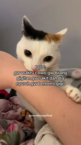 ga akan gw lakuin lagi selamanya!!! #memekucingofficial #memekucing #meme #kucinglucu #midskuy #trend #viralid 
