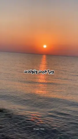 #blingos #blingos_al_malekk #t3ebet #rap #foryou #france 