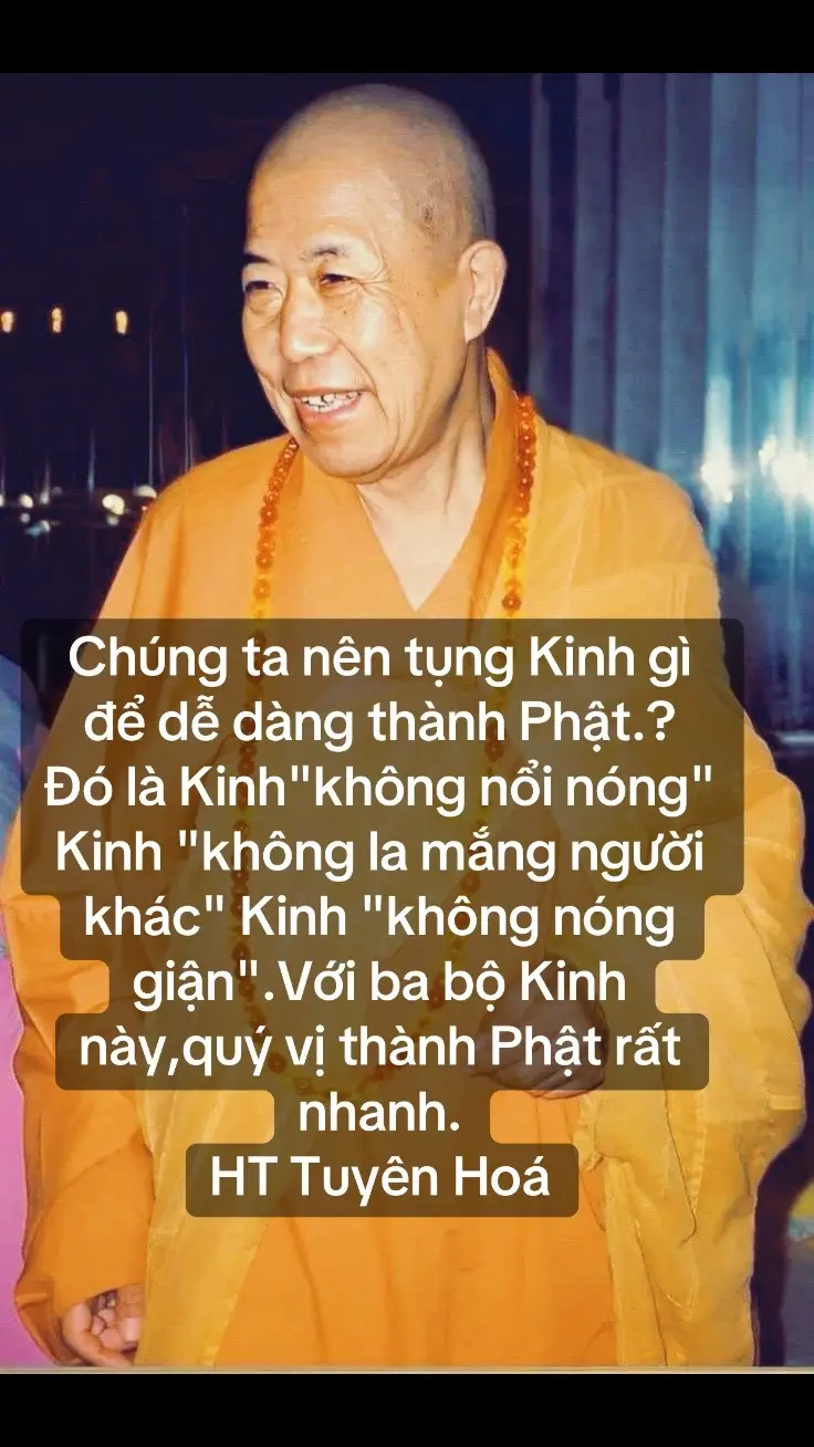 #adidaphat #nammoquantheambotat #nammodiatangvuongbotat #phatphapnhiemmau #xuhuongtiktok 