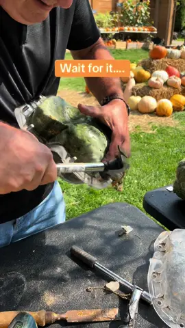 We know you love the Frankenstein pumpkins… but check out this amazing creation, A skull pumpkin! #skullpumpkin #mouldedpumpkins #preposterouspumpkins #halloween2024 #frankensteinpumpkin #halloween #pumpkinseason #pumpkinseason 