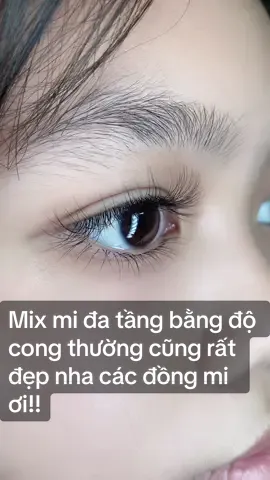 Bộ mi mix đa tầng buổi livetream lúc trưa nè các nàng😊 #nốimi #nốimithủđức #nốimilinhxuân #miđatầng #phụliệumithủđức #đàotạonốimichuyênnghiệp #Notalash #fyp #milôngthỏ #nốimisiêubền 