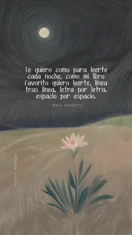 Te quiero sin mirar atrás, un bello poema de Mario Benedetti  #poesia #mariobenedetti #frasesromanticas 