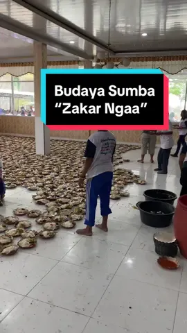Zakar Ngaa saat acara Konsolidasi pemenangan paket RATU-ANGGA🔥🔥 #fyp #fypシ゚viral #fypage #sumbabaratdaya #budayasumba #ratuangga2024 