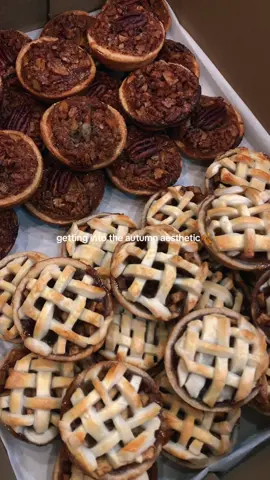 can’t wait for the weather to reflect this vibe🥰  #fall #fallvibe #autumn #autumnaesthetic #minipies #applepies #pecanpie #baking 