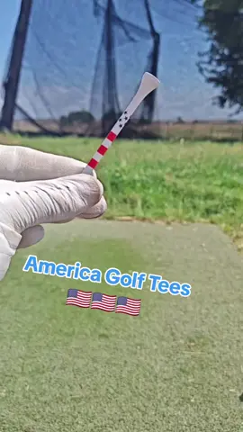 America Golf Tees! #golftees #tees #woodtees #golf #golftiktok #wooden #painted #sports #hobbies #durable #gorgeous 