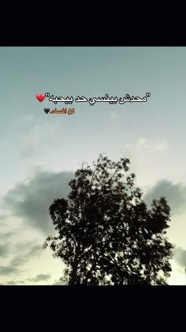 محدش بينسى حد بيحبه 💔 #fyp #foryou #viral #tik_tok #tutorial #tiktok #explore #follow #music #حب #تيك_توك #money #غروب 