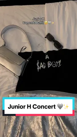 shoutout to @Alvarez Designs for the custom concert top 🥹🩶✨ #juniorh #juniorhconcert #juniorhconcertoutfit #concertoutfit 