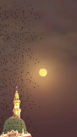 Telah lahir Cahaya Penerang Jiwa. #maulid #nabimuhammad 