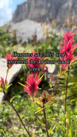 No really though.. Ever wonder why we’re stuck in a 40-hour workweek when there’s so much beauty out there? 🤦🏽‍♀️ Check out how you can ditch the 9-to-5 and start making money on your own terms. 🌟💸 If you’re curious about how, send a DM here  #FinancialFreedom #WorkYourWay #LiveYourDreams