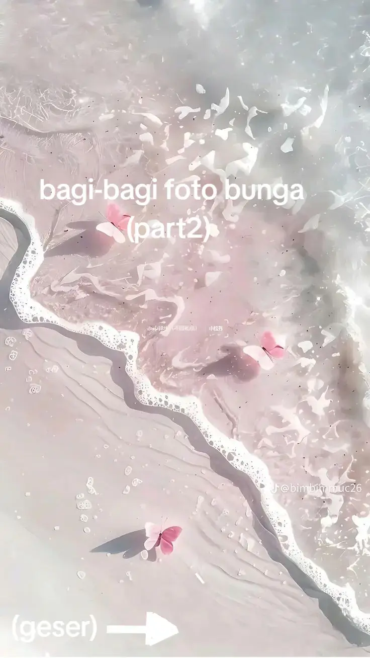 bagi-bagi foto bunga aesthetic #fyppppppppp #like #komen #bunga