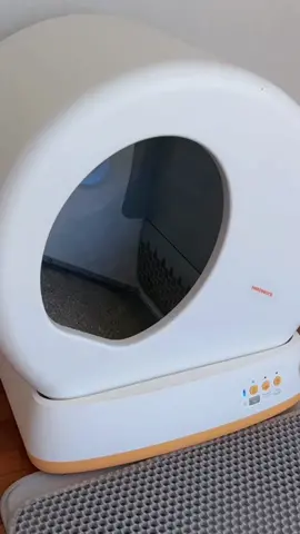 Addressing confusion about automatic litter boxes! #catlitterbox #cats #litterbox #safe #safety 