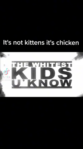 #wkuk #wkukshow #whitestkidsyouknow #comedy #itsnotkittens #trevormoore #zachcregger #sambrown #darrentrumeter #timmywilliams 
