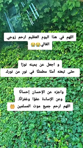 #fy #الله_يرحم_زوجي_ويجعله_في_فيسح_الجنه #اللهم_ارحم_موتانا_وموتى_المسلمين #عيد_المولد_النبوي_الشريف 