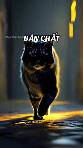 Sự phức tạp của lòng người và những hành động không thể đoán trước, luôn ẩn chứa những bài học sâu sắc về cách ứng xử và nhìn nhận thế gian. Bề ngoài không phản ánh hết bản chất, và lòng người không phải lúc nào cũng thiện lương. #baihoccuocsong #tritueconhan #trituenguoixua #banchatconnguoi #sachhay #nhansinhtrietluan