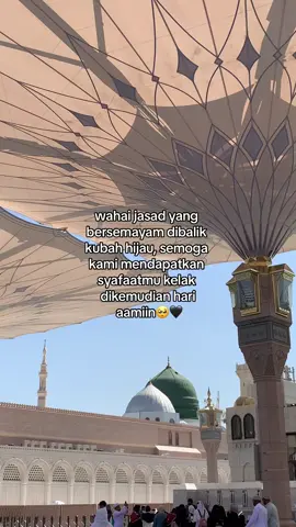 assalamualaika ya rasulullah, 12 rabiyul awal 1446 h #maulidnabi#fyp#medina#makkah 