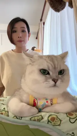 Gia đình lục đục #meow #fyp 