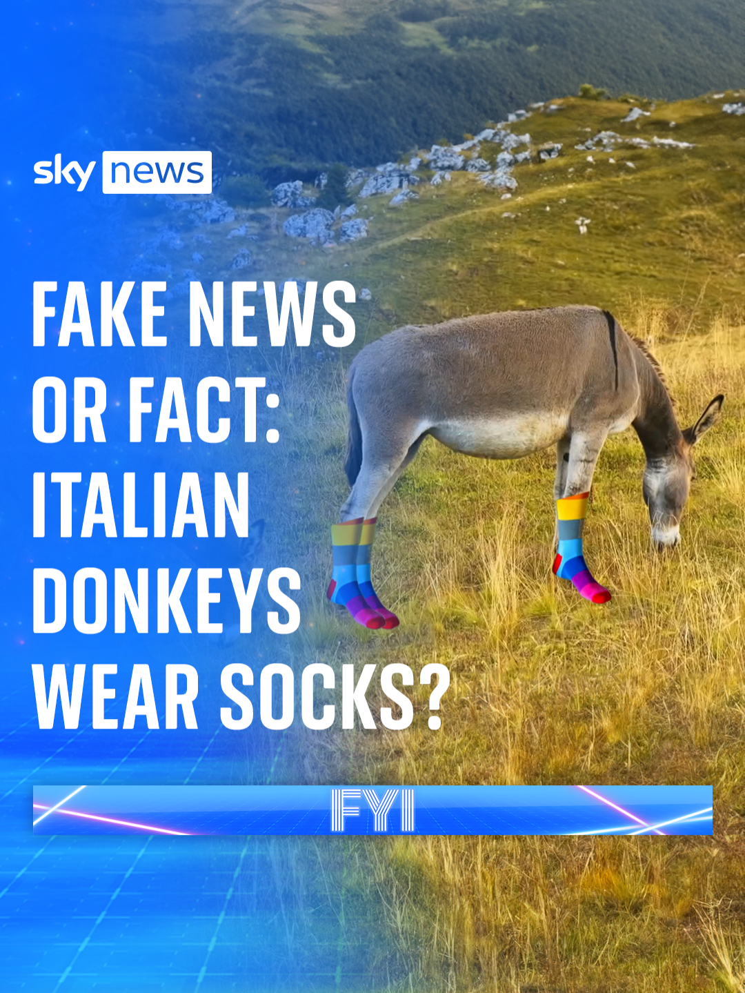 Fake news or fact: Do donkeys in Italy wear striped socks?