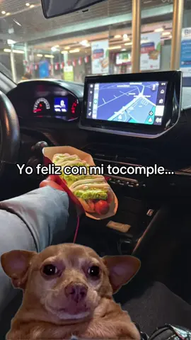 Yo feliz con mi #completo de la copec #completo #tocomple #copec #funny #humor #chile #18septiembre #comida #comedia #humorchileno 