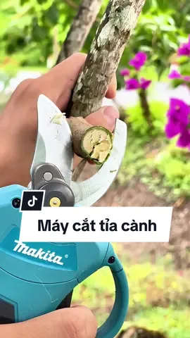 Máy cắt tỉa cành dùng pin Makita, kéo cắt tỉa cành cây động cơ không chổi than #maycattiacanhcay  #maycatcanh  #maycattiacanhchaypin 