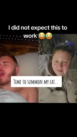 #duet with @Mason Adams #CatsOfTikTok I really was like my cats not gonna come... She's was here so fast 😂😂😂 And every time I play it back she comes again 😂😂 #cat #cats #catmom. 