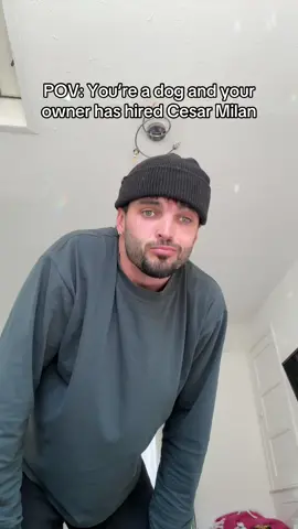the one true alpha