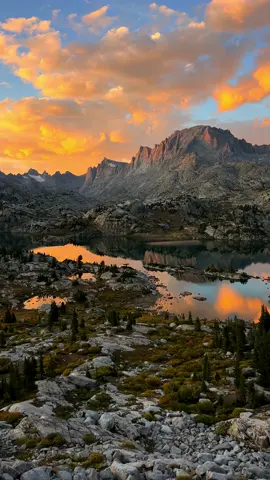 Come solo backpacking in the Wind River Range with me 🏔️ Solo backpacking through grizzly country is always a little bit sketchy but for views like this it was so worth it.  Let me know if you would solo backpack 🏕️ #solotravel #backpacking #wyoming 