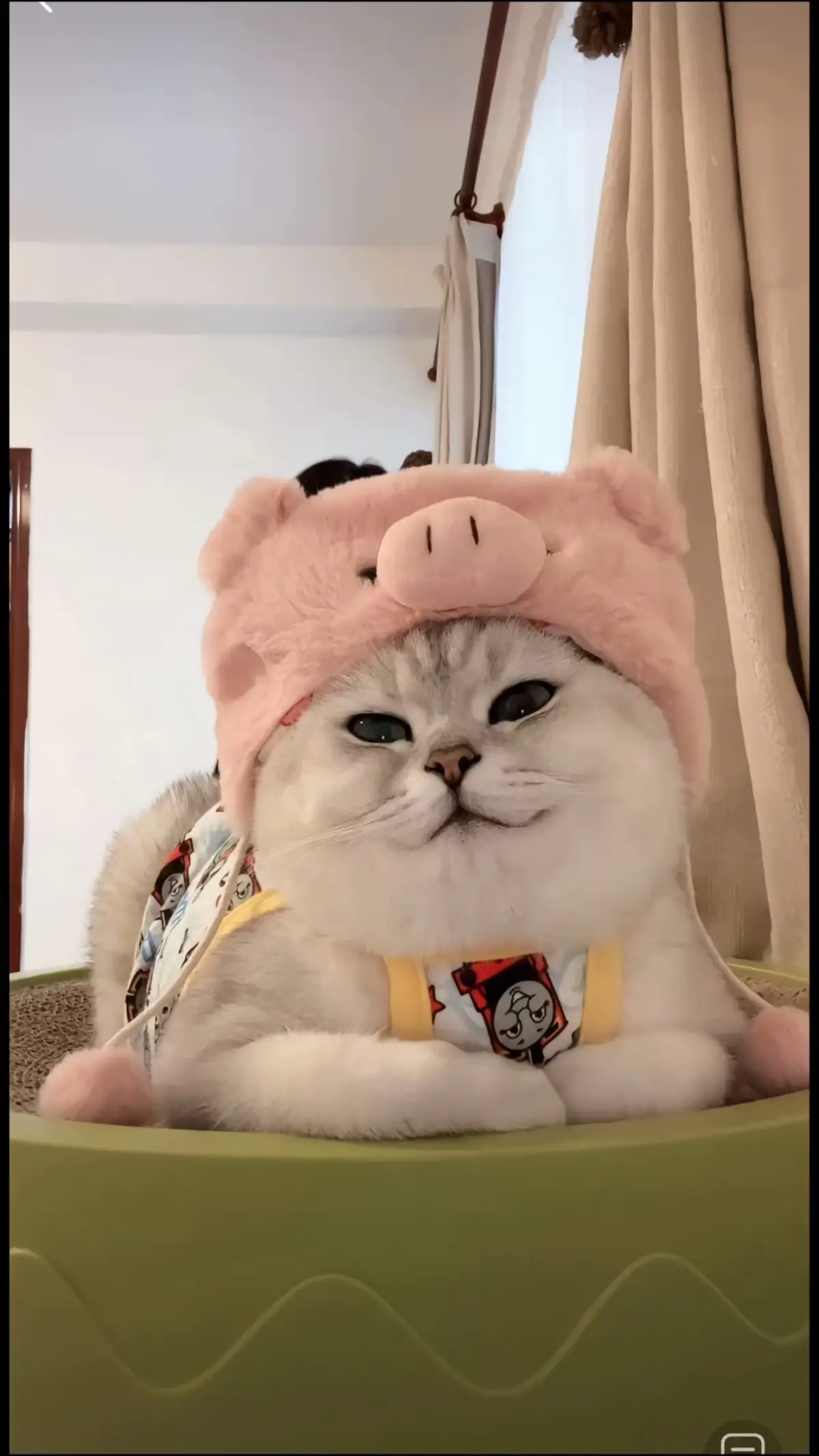 Phong cách của Dudu Fen #meow #fyp 