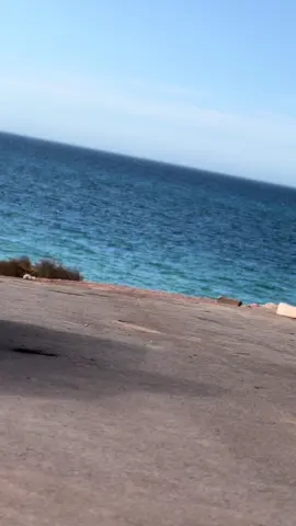 #mostaganem #الشعب_الصيني_ماله_حل😂😂 