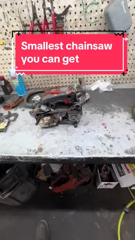 Smallest gas chainsaw ever made #fypシ゚viral #viral #blowitup #repair #echo #climbing #forestry #treecutter #arborist #lightweight #small #sawshop #chainsaw #shop #mechanic 